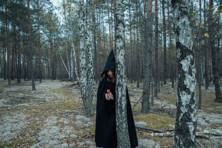 A witch in a black hood and with red fly agarics conjures in the forest.の写真素材