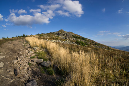 Mountain landscape with dry grass.の写真素材