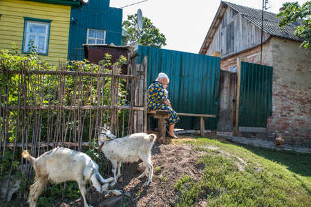 Sumy. Ukraine, August 7, 2019; Grandmother with a girl granddaughter and goats near her village house.のeditorial素材