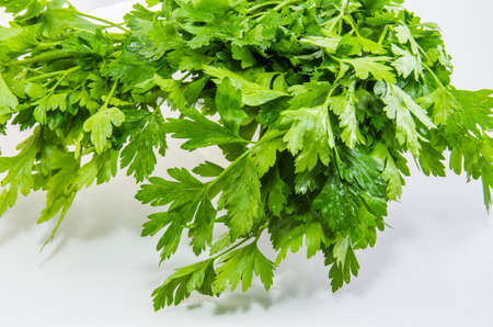 Fresh parsley leaves on a white background.の写真素材