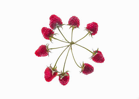Fresh Ripe raspberry isolated on white background macroの写真素材