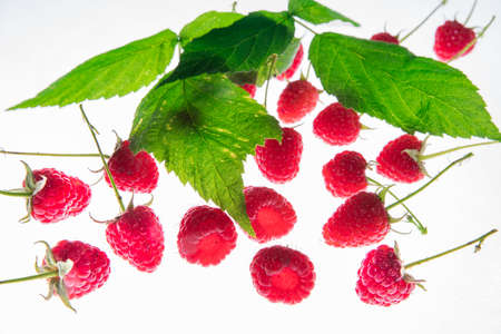 Fresh Ripe raspberry isolated on white background macroの写真素材