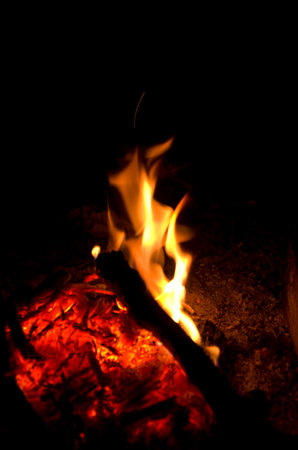 Fire bonfire.