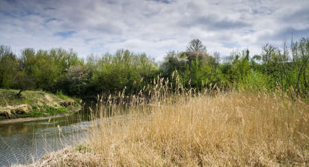 Landscape with a river and a meadow.