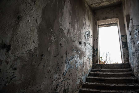 Steps from the basement to the light.