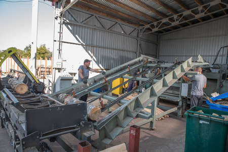 Lutsk. Ukraine. September 14, 2020; Wood processing at a sawmill. Preparation of logs for veneer production.のeditorial素材