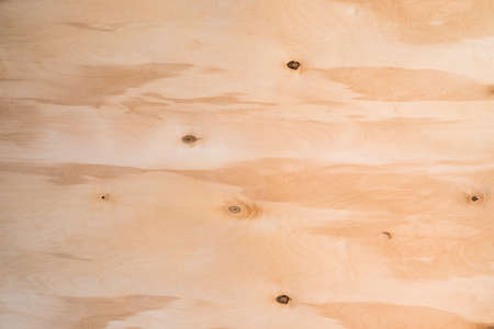 Close-up texture of natural birch veneer.の写真素材