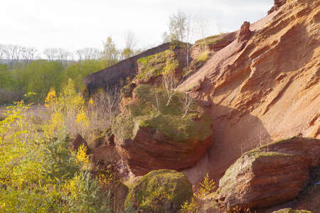Red hills with birches against a blue sky.