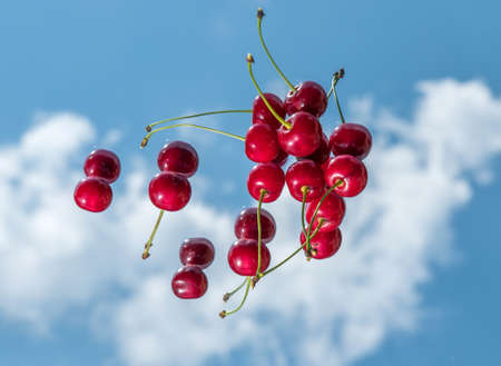 Ripe cherries on a mirror glass with a reflection of the sky.の写真素材