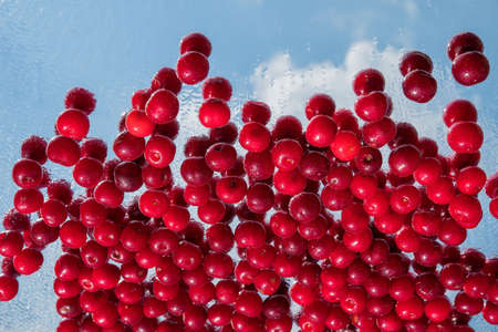 Ripe fresh cherries on a mirror glass with water drops.