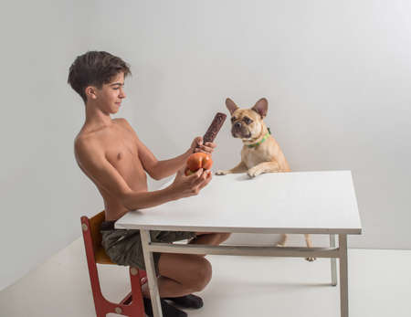 A young man teases a French Bulldog dog with a sausage at a table on a light background.の写真素材