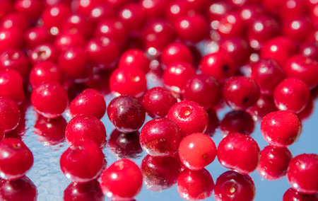 Ripe fresh cherries on a mirror glass with water drops close-up. Selective focus. Blurred background.の写真素材
