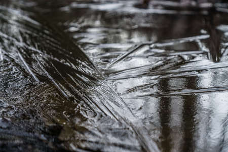 Frost Reflection of trees in a frozen puddle.