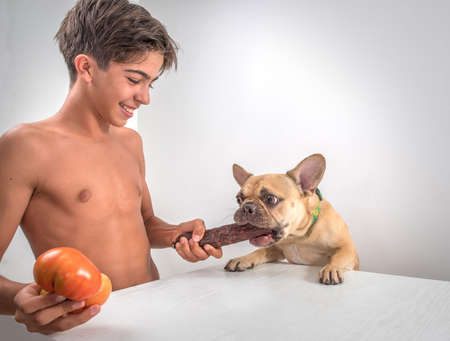 A young man teases a French Bulldog dog with a sausage at a table on a light background.の写真素材