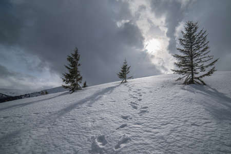 Winter mountains with snow under a dark winter sky.