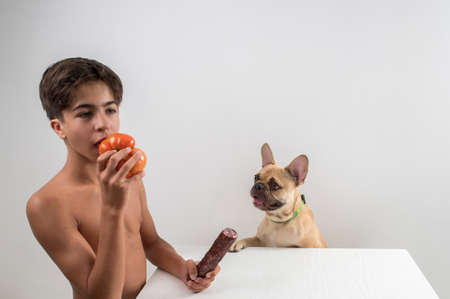 A young man teases a French Bulldog dog with a sausage at a table on a light background.の写真素材