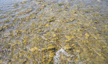 The stones shine through the clear water.