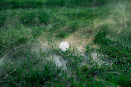 Soap bubbles on the grass. selective focus. Blurred background. Soap bubbles with smoke on the grass. fog. selective focus. Blurred background.の写真素材