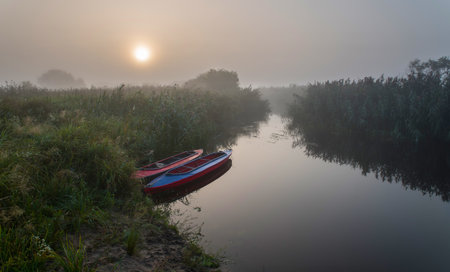 Two multi-colored kayaks at sunrise near the river bank in the morning mist among the river grass.の写真素材