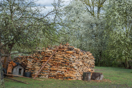 A pile of chopped firewood in the yard of a rural house.の写真素材