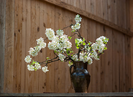 Flowering tree branch in a ceramic jug against the background of a wooden wall.の写真素材