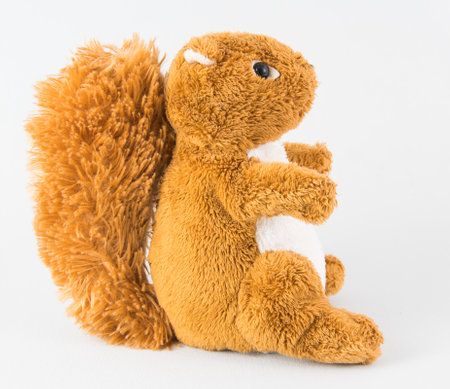 Plush squirrel.Soft toy for children.の写真素材