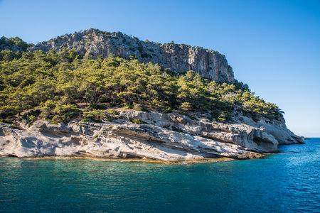 Rocky seashore with grottoes, overgrown with pinesの写真素材