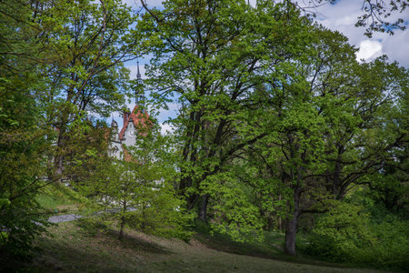 Svalyava Transcarpathia Ukraine May 5, 2023 Shenborn Castle among summer trees.のeditorial素材