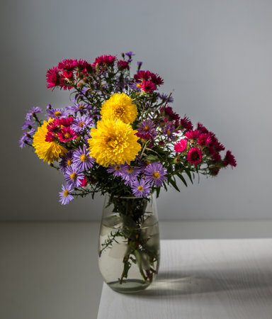 Bouquet of multi-colored chrysanthemums in the sun.の写真素材