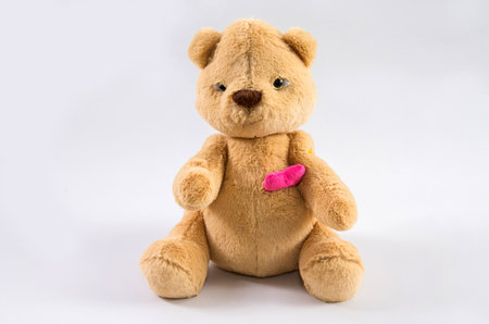 Brown cute teddy bear on a white background.の写真素材