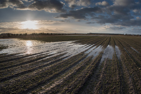 Spring very wet agricultural field with puddles of water due to rain and melting snow.の写真素材