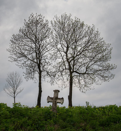 Stone crosses at the old Orthodox cemetery.の写真素材