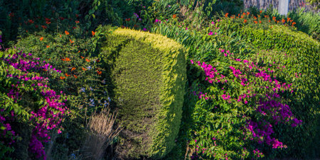 Bright garden hedge with multi-colored flowers and green foliage. Flower arrangement.の写真素材