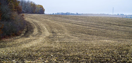 Harvested Field with Autumn Forest on the Horizonの写真素材