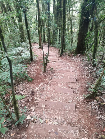 The mountain walk is beautiful in its way.