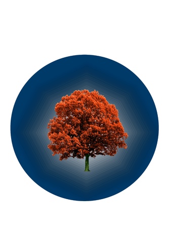 Red tree inside of a blue circle in a way of logo