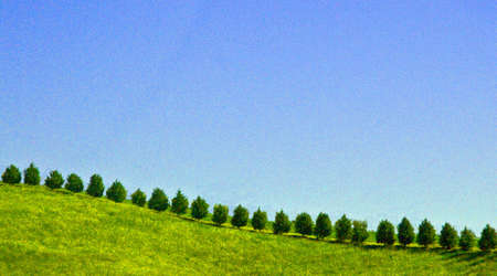 blue sky, green hill, tree line rolling down left to right room for typeの写真素材