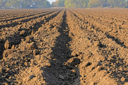 plowed field, rows of dirt distant vanishing point centeredの写真素材