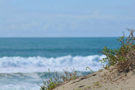 dunes and waves