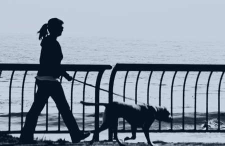 silhouette of girl walking dogの写真素材