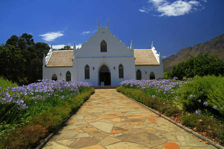 Old vineyard, Franschhoek, South Africa