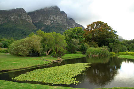 Kirstenbosch National Botanical Garden, Cape Town, South Africaの写真素材