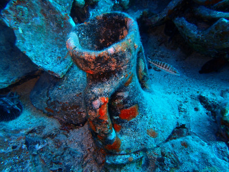 Ancient amphora in Adriatic sea near Vis island, Croatiaの写真素材