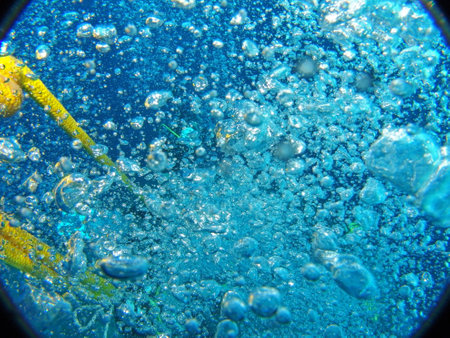 Underwater view of the underwater world with bubbles and seaweed.の写真素材