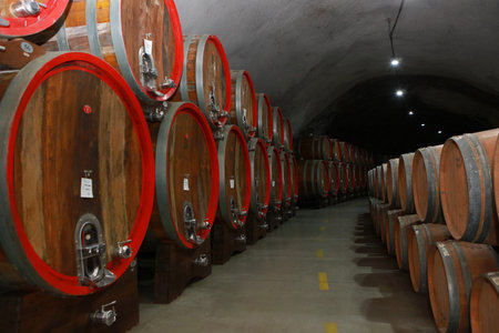 Wine barrels stacked in a cellar of a winery in Montenegro