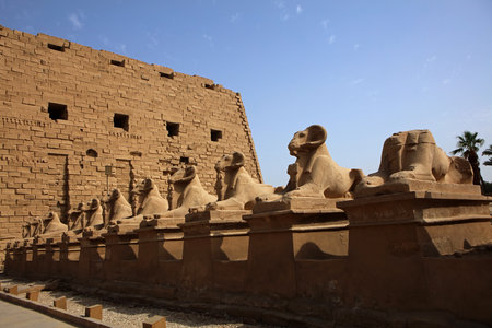 Statues of sphinx in Karnak temple, Luxor, Egyptの写真素材