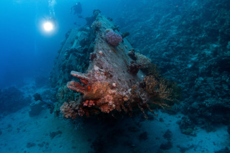 Underwater view of the wreck of a ship in the Red Sea, Wreck of sailing yacht near Abu Galawa dive site in Red Sea, Egyptの写真素材