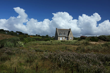 Idyllic rural landscape with a small house in the countryside.の写真素材
