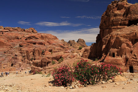 Petra, Jordan. Petra is one of the New Seven Wonders of the World.の写真素材