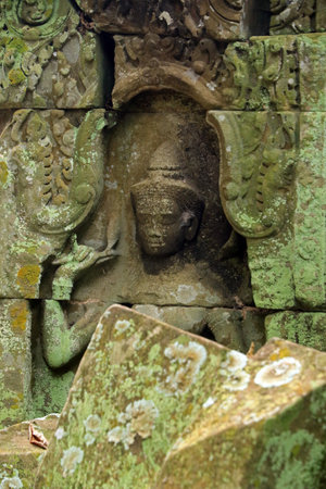 Bas relief on Ta Prohm temple, Angkor, Cambodiaの写真素材